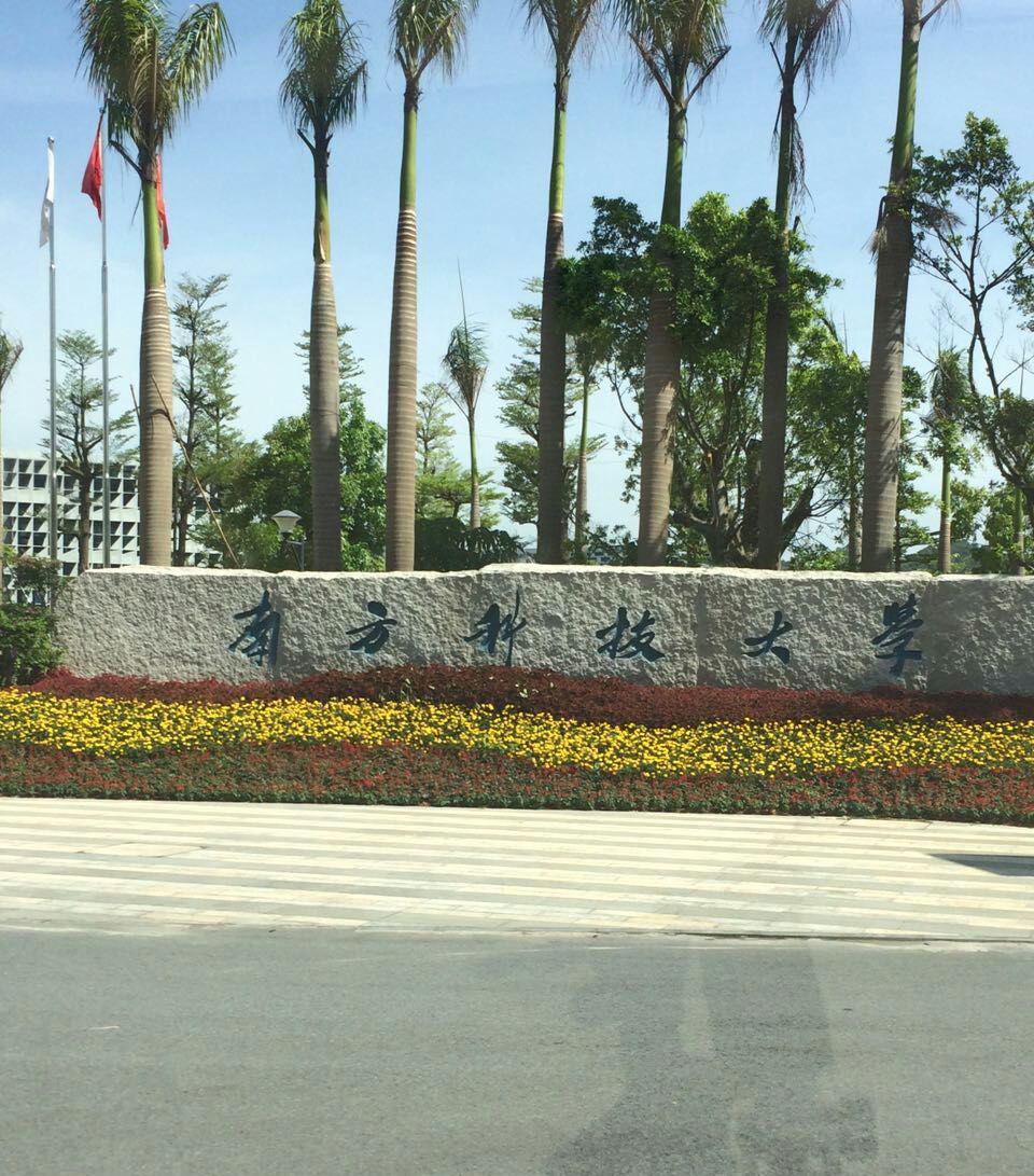 深圳南方科技大學(xué) 深圳南方科技大學(xué)